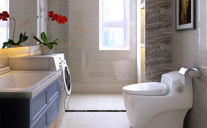 卫浴装修 卫浴装修